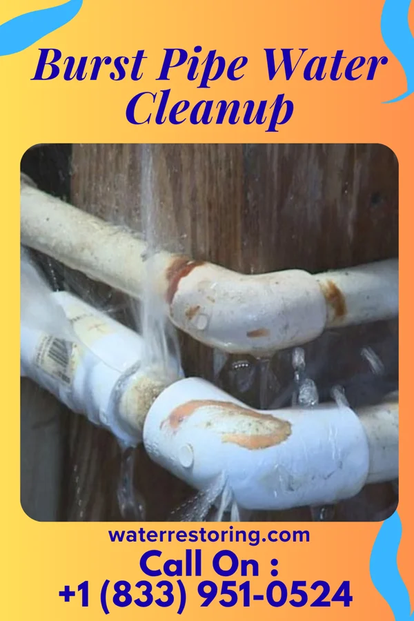 Burst Pipe Water Cleanup in Herndon, PA