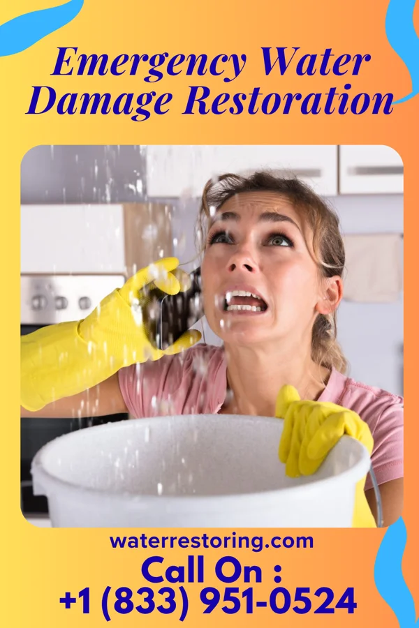 Emergency Water Damage Restoration in Herndon, PA