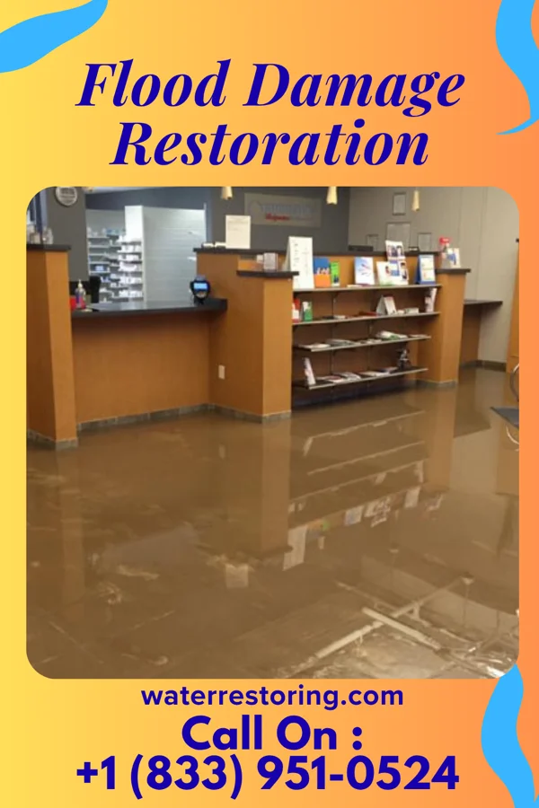 Flood Damage Restoration in Herndon, PA