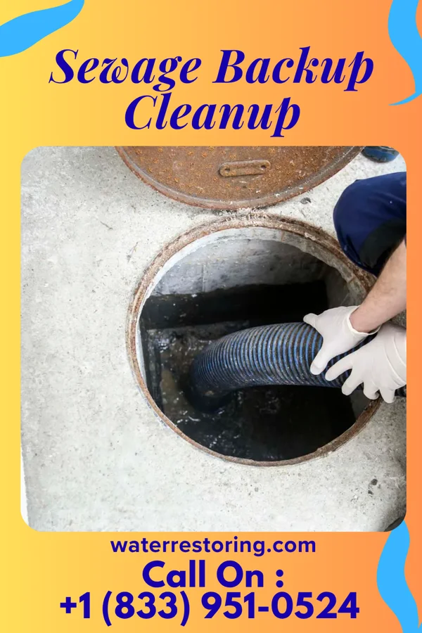 Sewage Backup Cleanup in Herndon, PA