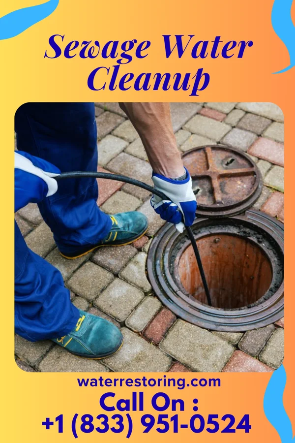 Sewage Water Cleanup in Herndon, PA